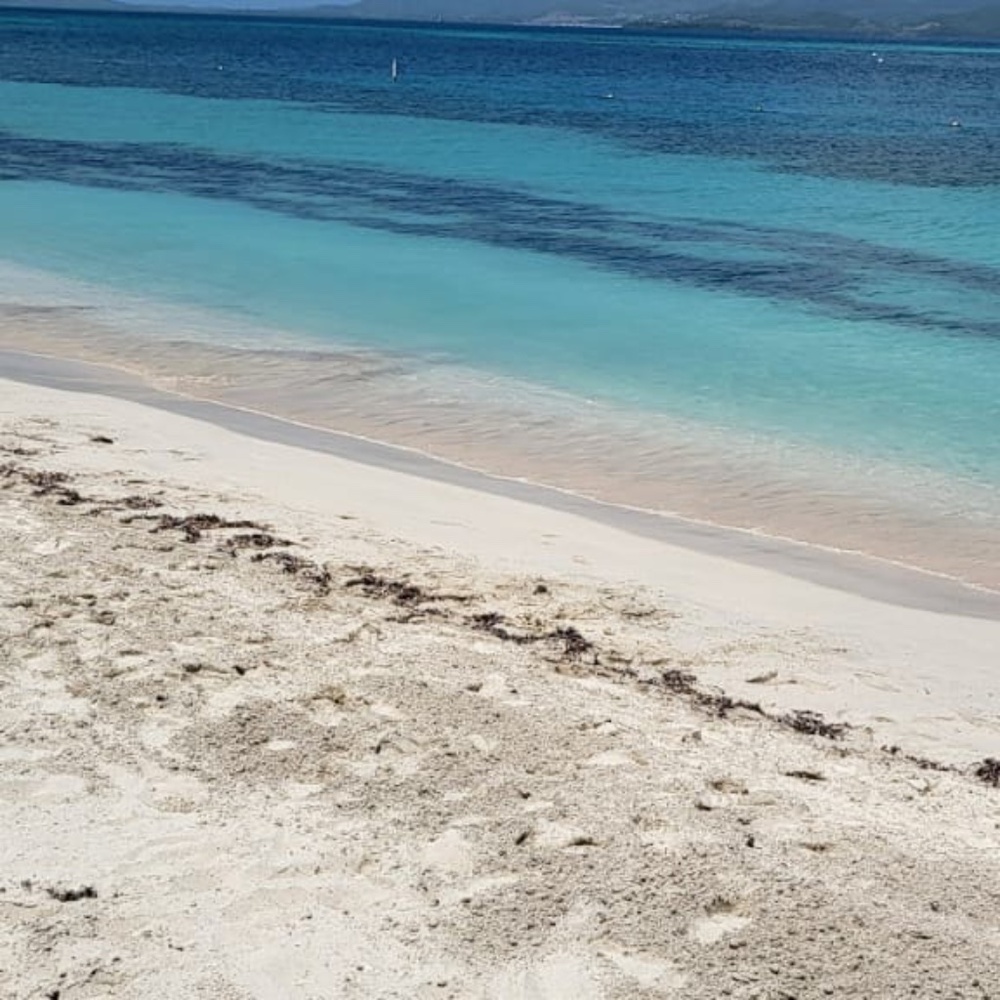 Meet your Posher, Jacqueline